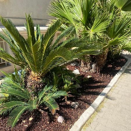 Casa Cacao Pres Plage Et Velodrome Marseille Eksteriør bilde